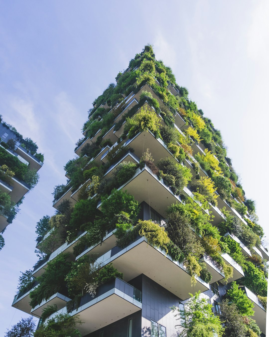 Sustainability Consulting